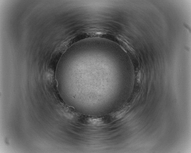 X0000096940283200802081213