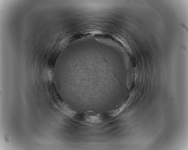 X0000096940285200802081213