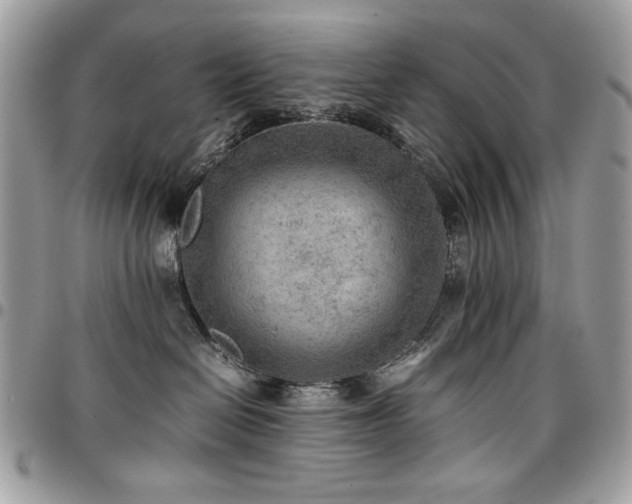 X0000096940286200802081213