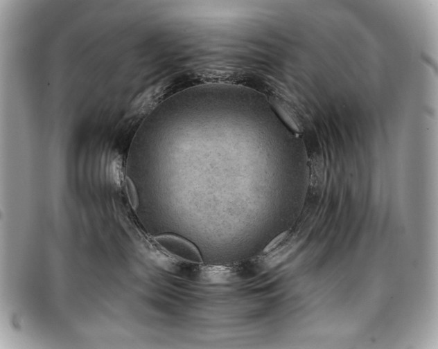 X0000096940287200802081213