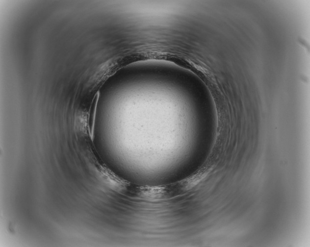 X0000096940288200802081213