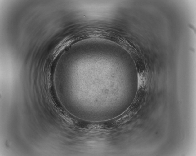 X0000096940291200802081212