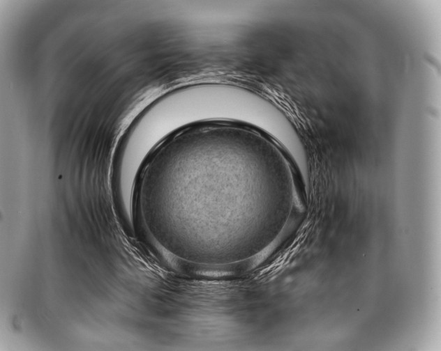 X0000096940292200802081212
