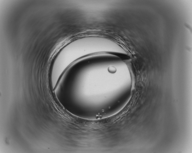 X0000096940293200802081212