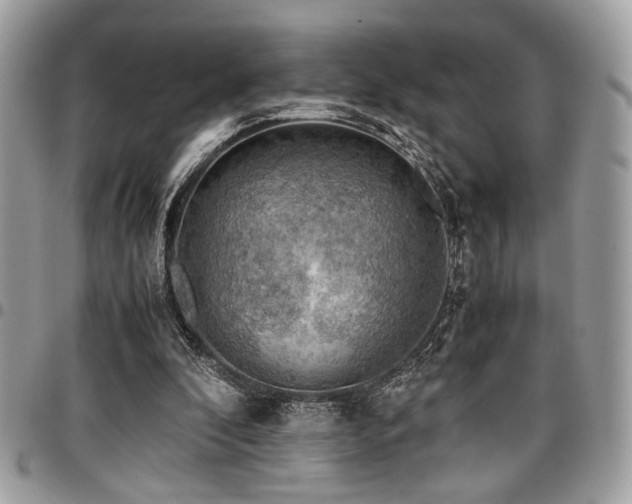 X0000096940296200802081212
