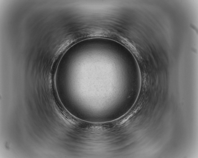 X0000096940298200802081212