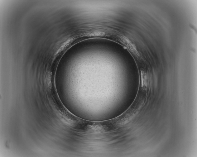 X0000096940300200802081212