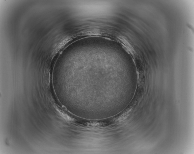 X0000096940301200802081212