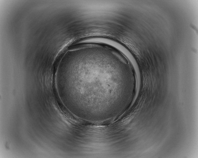 X0000096940304200802081212