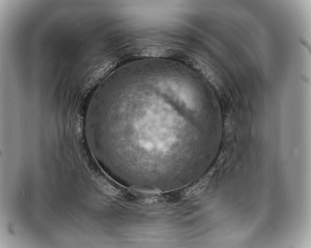 X0000096940305200802081212