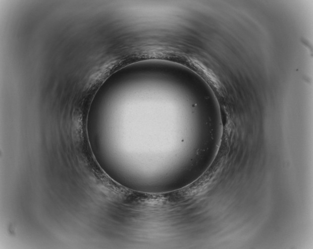 X0000096940306200802081212