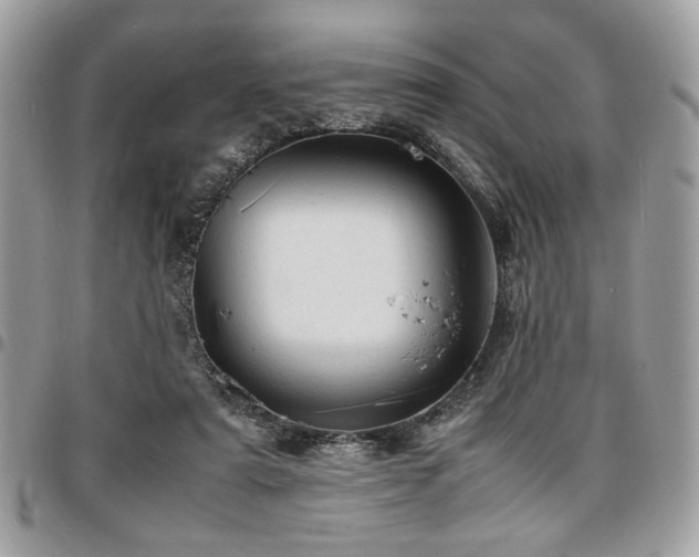 X0000096940307200802081212