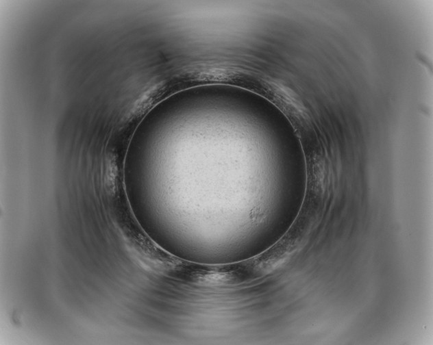 X0000096940312200802081212