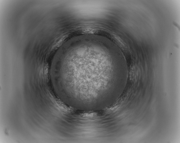 X0000096940314200802081212
