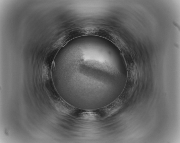 X0000096940316200802081212