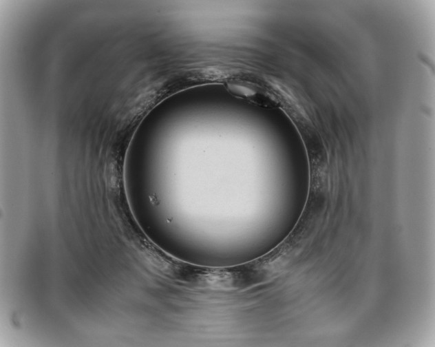 X0000096940317200802081212