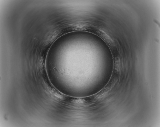X0000096940318200802081212