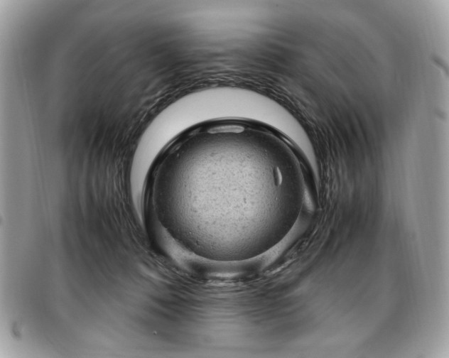 X0000096940320200802081212