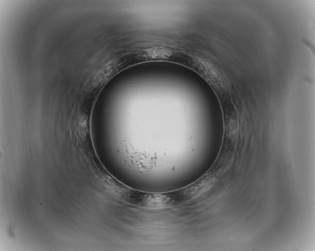 X0000096940321200802081212