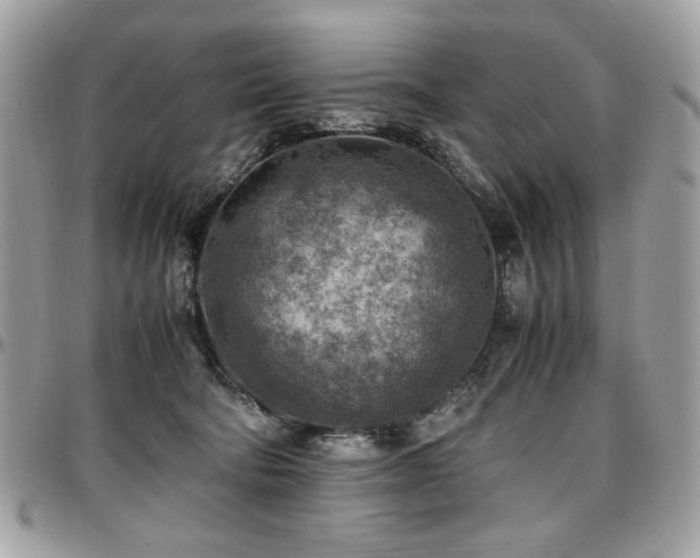 X0000096940322200802081212