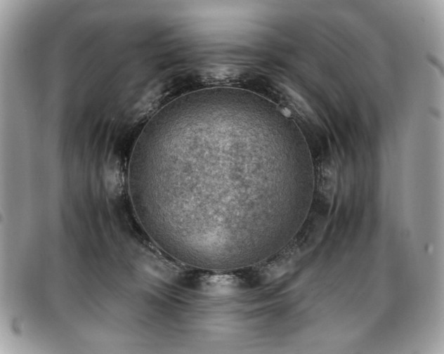 X0000096940324200802081212