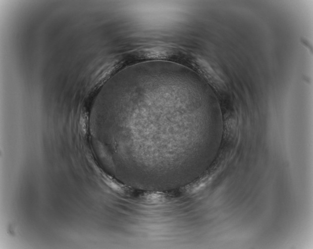 X0000096940325200802081212