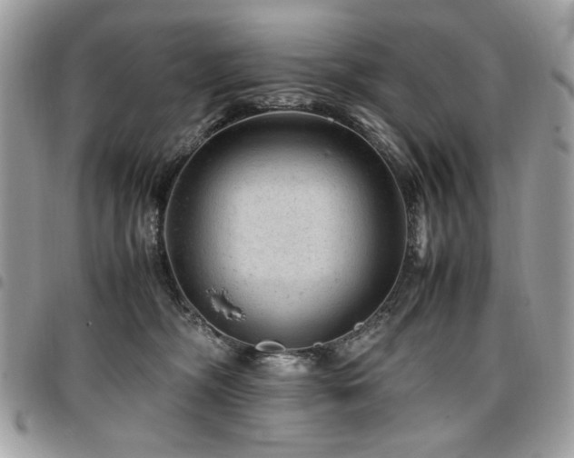 X0000096940326200802081212