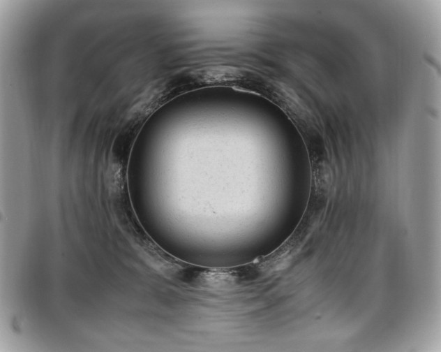 X0000096940327200802081212