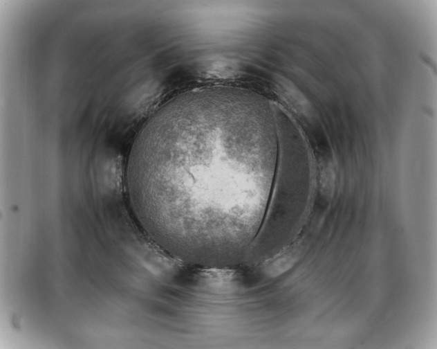 X0000096940328200802081212
