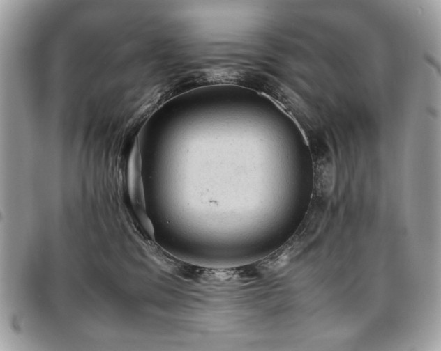 X0000096940329200802081212