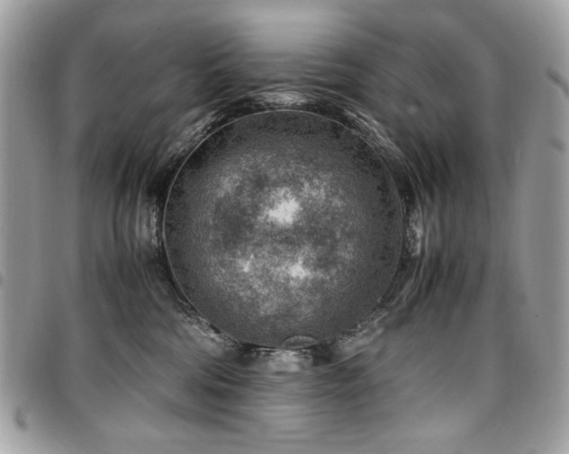 X0000096940330200802081212