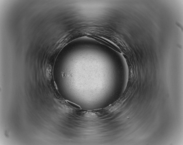 X0000096940332200802081212