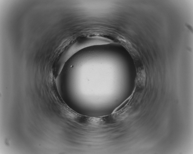X0000096940333200802081212