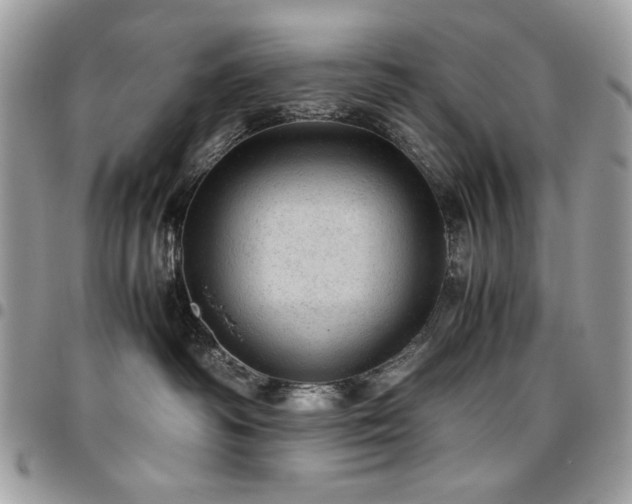 X0000096940334200802081212