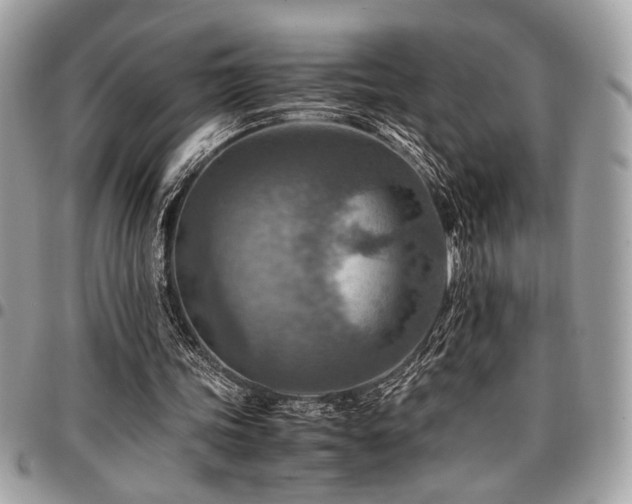 X0000096940339200802081211