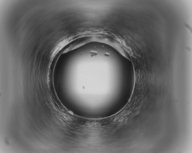 X0000096940340200802081211