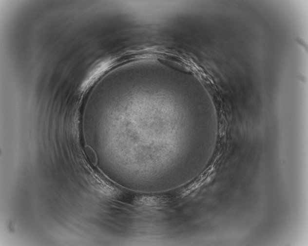 X0000096940341200802081211