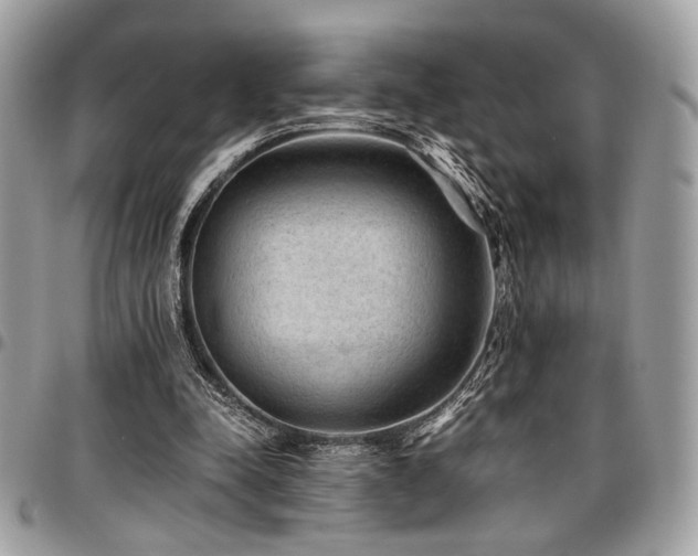 X0000096940342200802081211