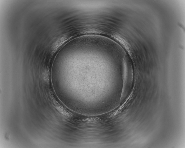 X0000096940345200802081211