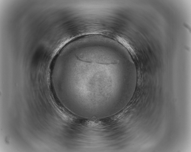 X0000096940346200802081211