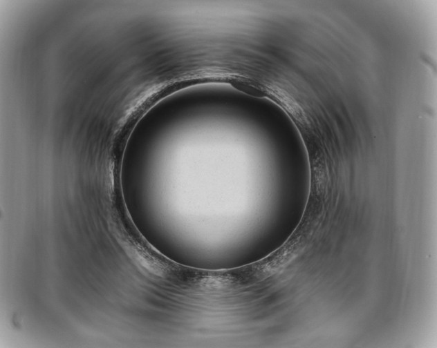 X0000096940350200802081211