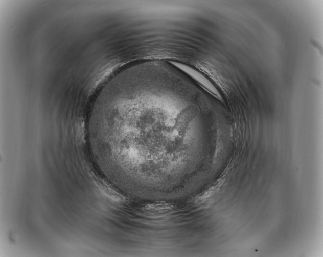 X0000096940351200802081211
