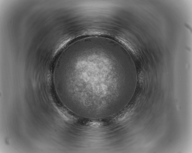 X0000096940352200802081211