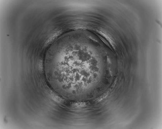 X0000096940353200802081211