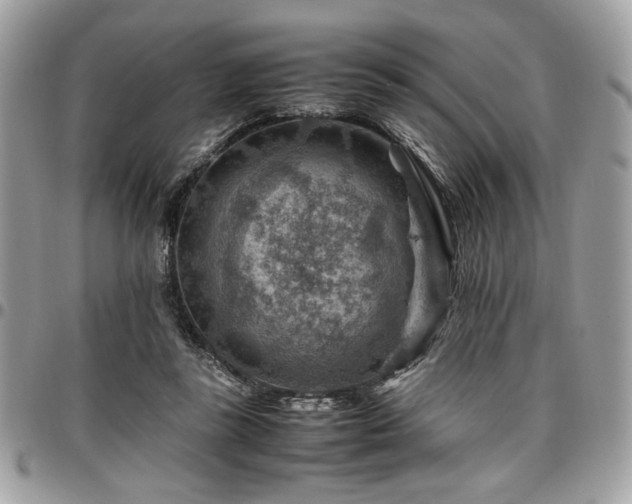 X0000096940355200802081211