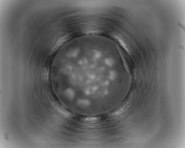 X0000096940357200802081211