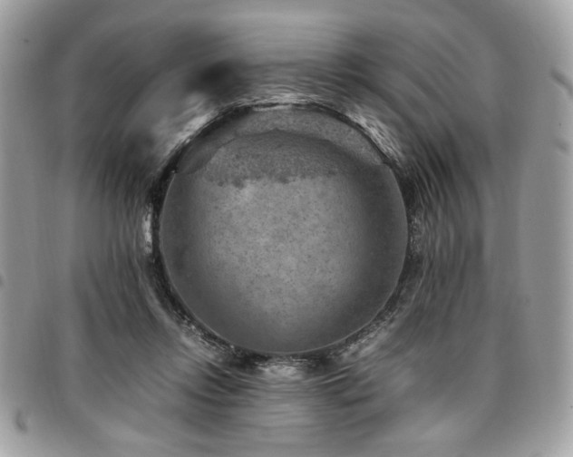 X0000096940358200802081211
