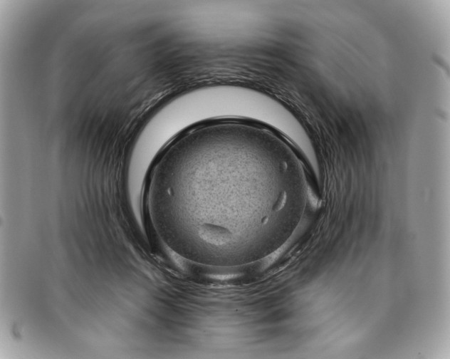 X0000096940360200802081211
