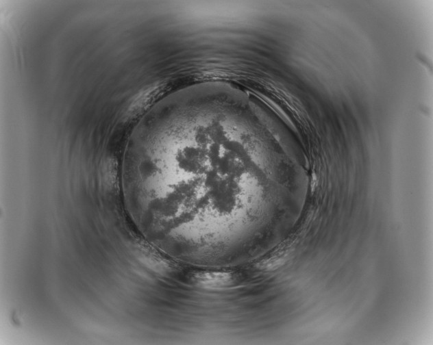 X0000096940361200802081211