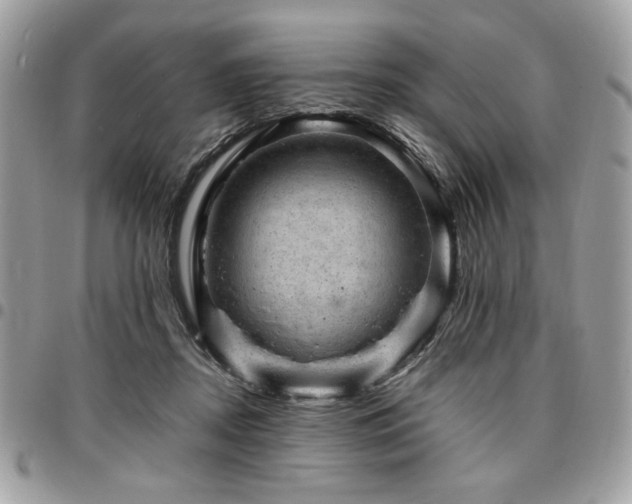 X0000096940362200802081211